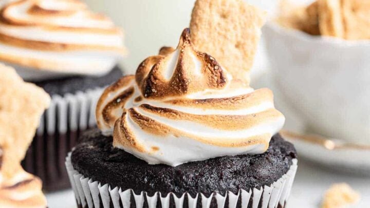 Chocolate cupcake with torched white frosting and graham cracker piece.