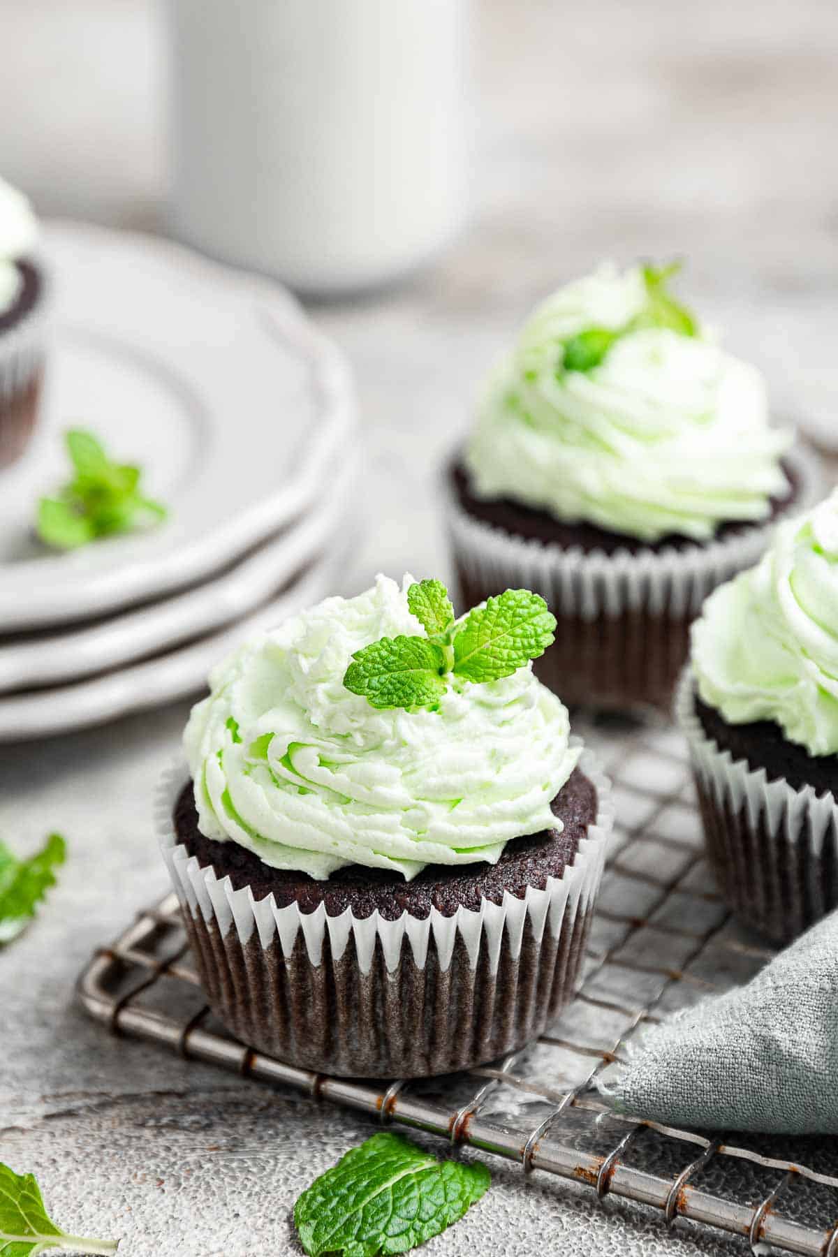 Chocolate cupcakes with green mint buttercream frosting and a fresh mint leaf.
