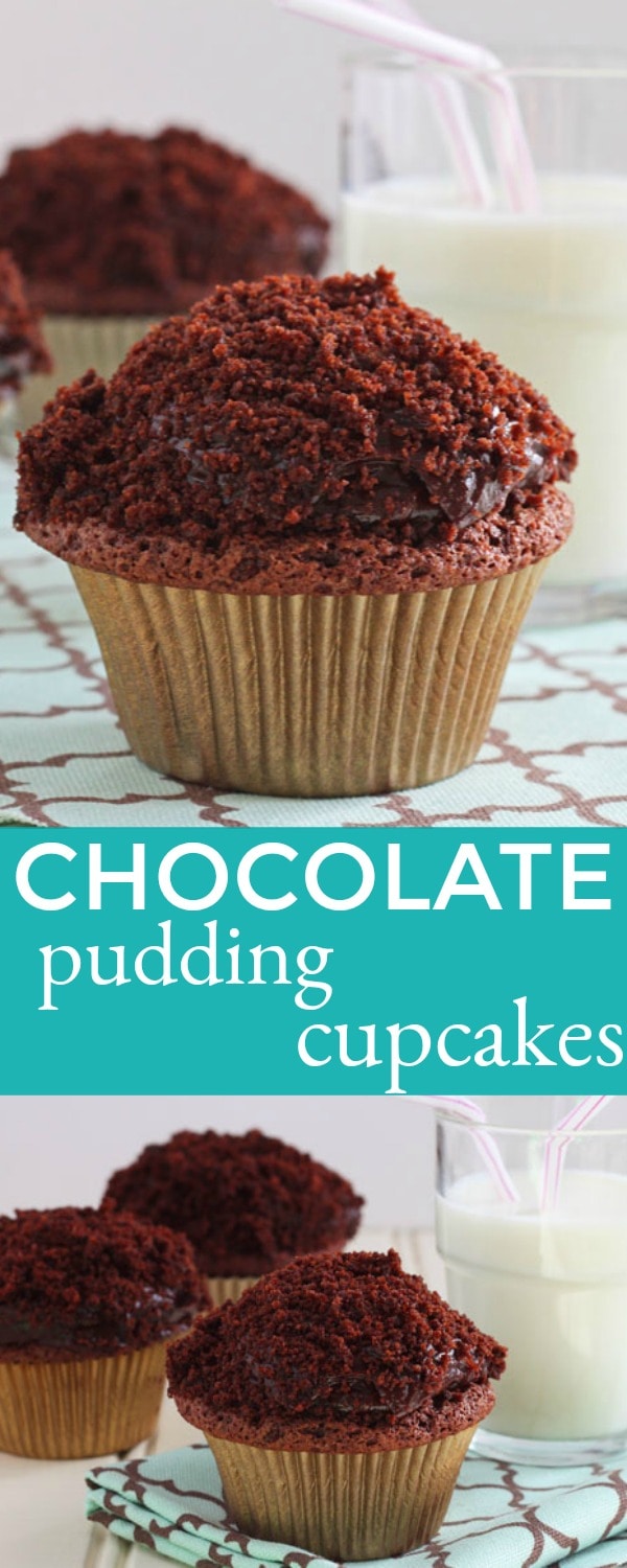 Chocolate Pudding Cupcakes with Chocolate Pudding Frosting! Black out cupcakes with chocolate cake crumbs on top!