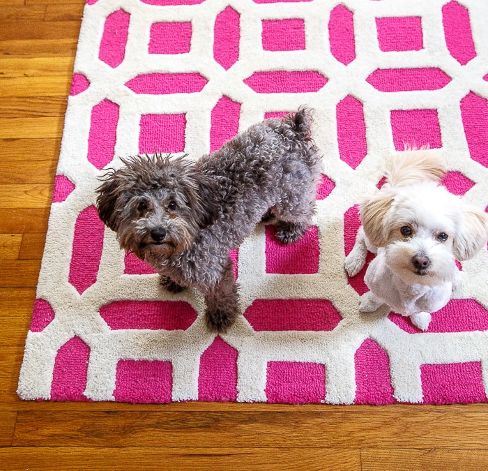 Hot pink rug @dessertfortwo