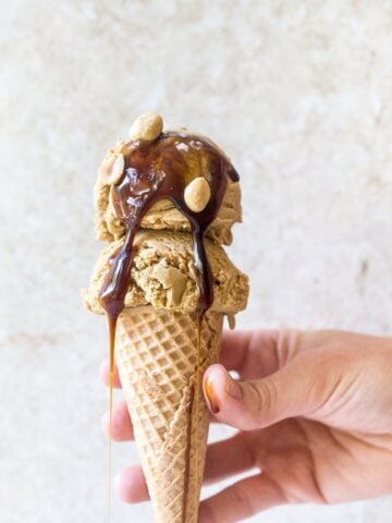 Vegan Peanut Butter Ice Cream made with Molasses