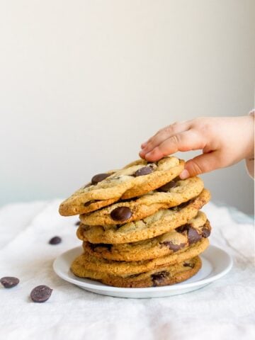 Malted Chocolate Chip Cookies Recipe. Small batch malted milk chocolate chip cookie recipe. Makes 6 cookies.