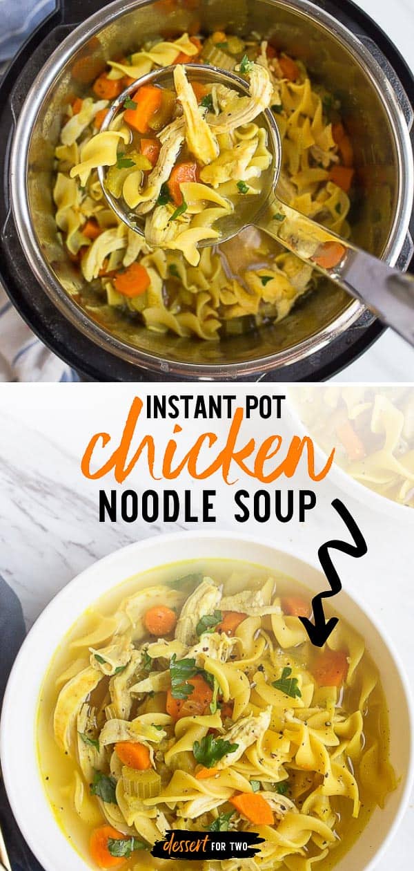 instant pot with chicken noodle soup