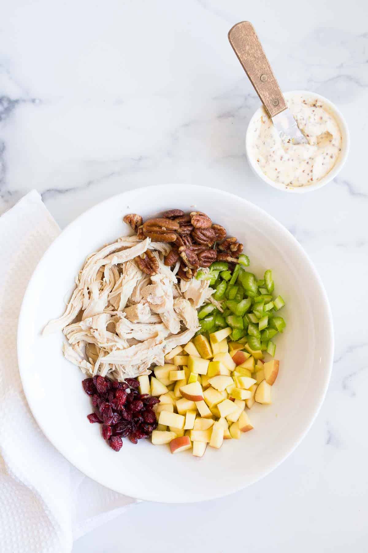 bowl with cranberries chicken celery and pecans