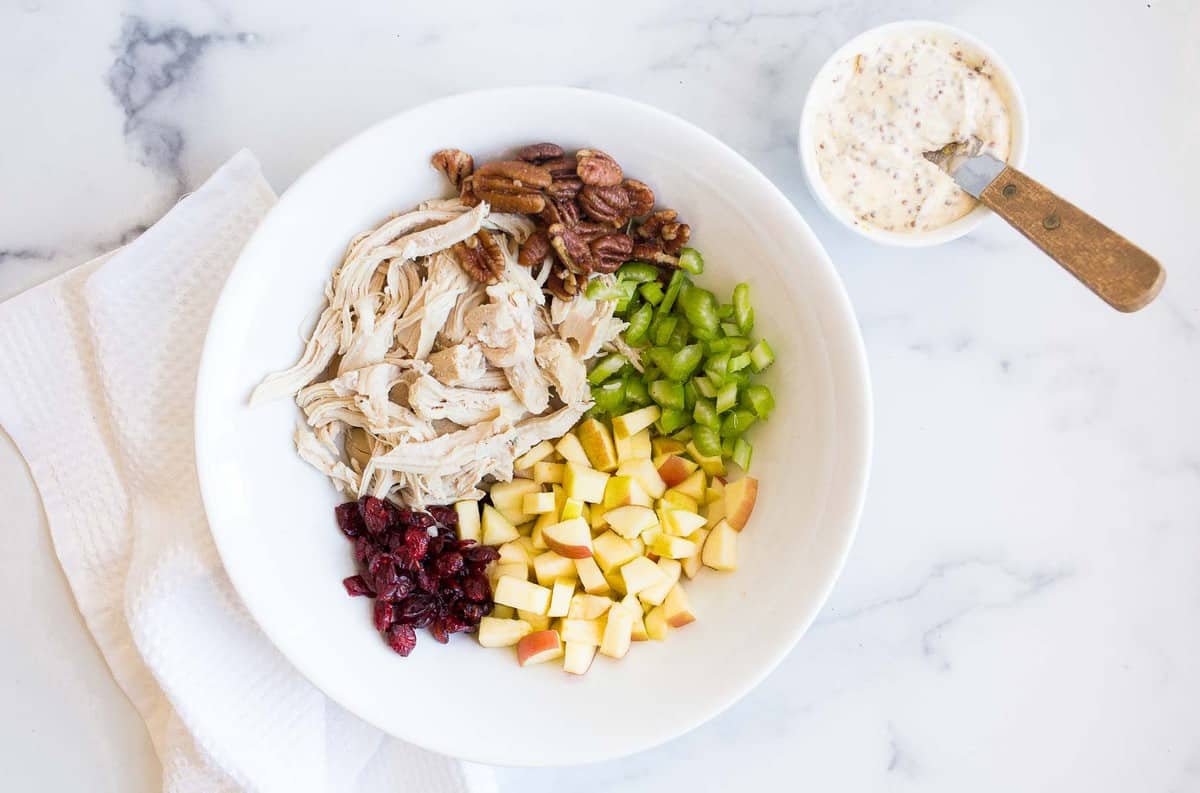 white bowl with shredded chicken cranberries apples celery and pecans