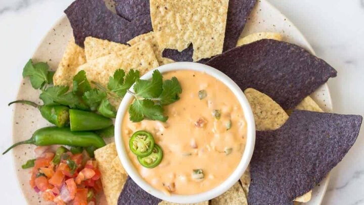 Bowl of queso with multi color tortilla chips surrounding it on plate.