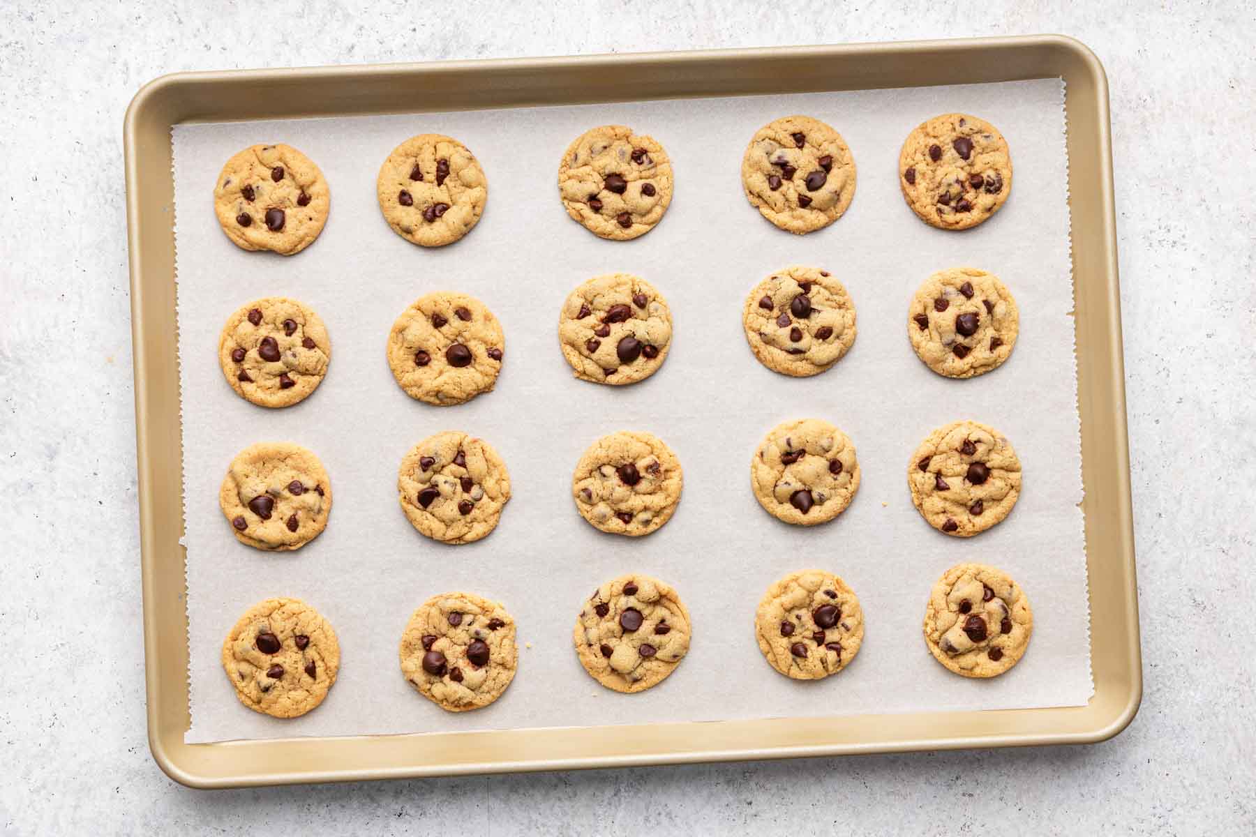 Twenty mini chocolate chip cookies freshly baked on a baking sheet.