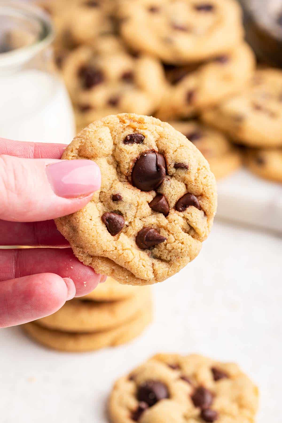 Tiny miniature chocolate chip cookie being held in hand.